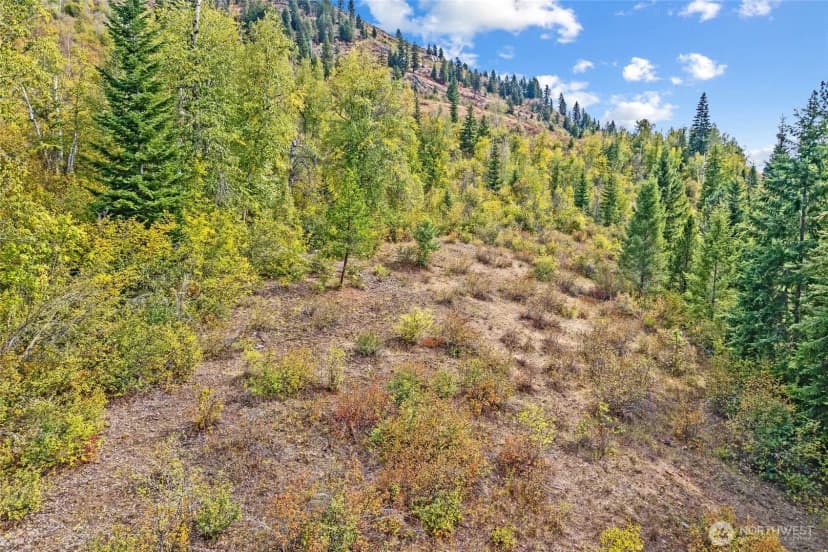 Property photo for 220 Catamount Ridge Lane, Ione photo 28
