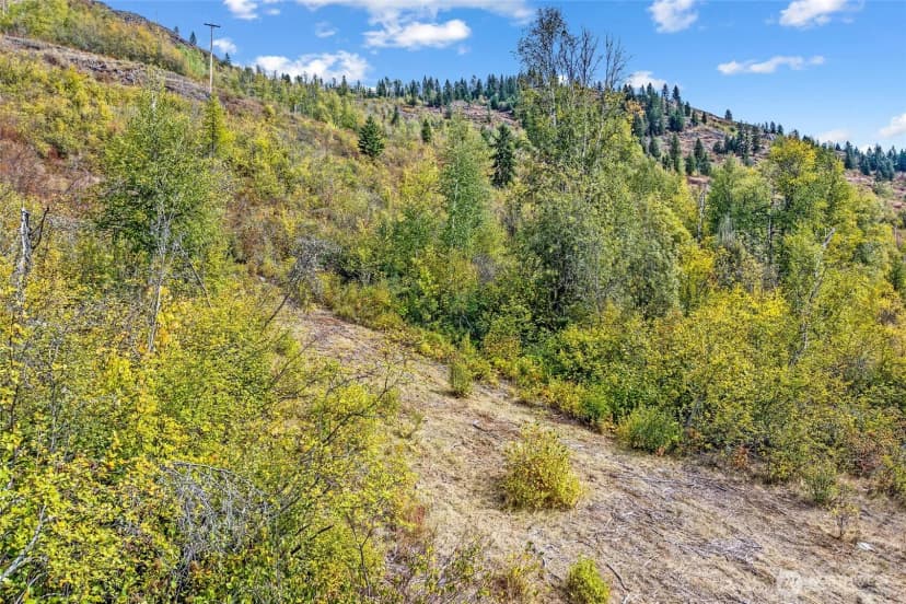 Property photo for 220 Catamount Ridge Lane, Ione photo 29