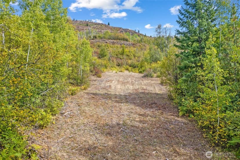 Property photo for 220 Catamount Ridge Lane, Ione photo 9