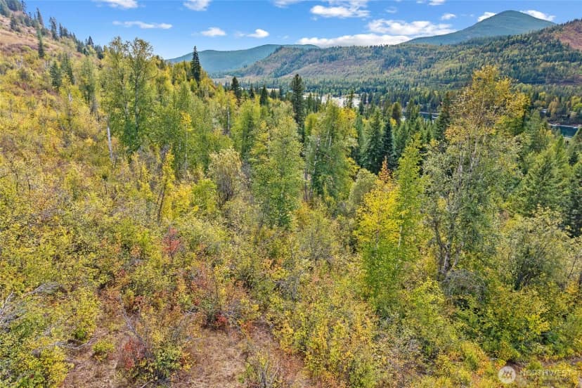 Property photo for 220 Catamount Ridge Lane, Ione photo 24