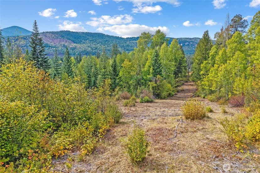 Property photo for 220 Catamount Ridge Lane, Ione photo 30