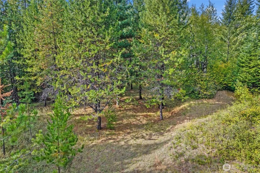 Property photo for 220 Catamount Ridge Lane, Ione photo 38