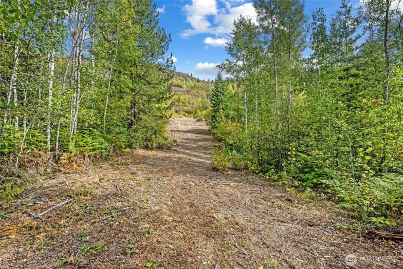 Property photo for 220 Catamount Ridge Lane, Ione photo 8