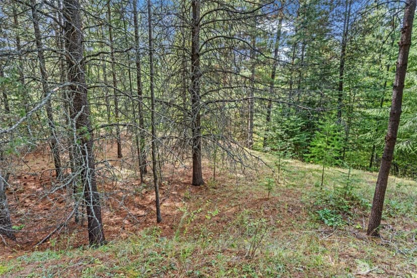 Property photo for 220 Catamount Ridge Lane, Ione photo 23