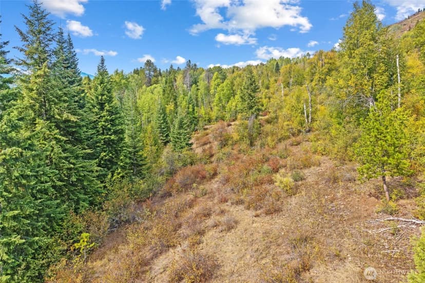 Property photo for 220 Catamount Ridge Lane, Ione photo 26