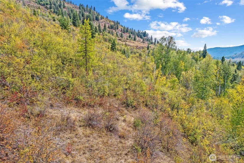 Property photo for 220 Catamount Ridge Lane, Ione photo 25