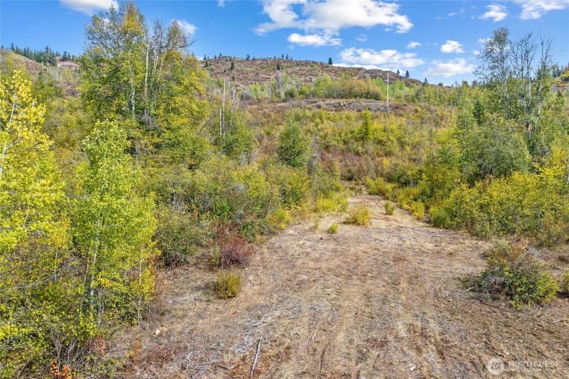 Property photo for 220 Catamount Ridge Lane, Ione photo 12