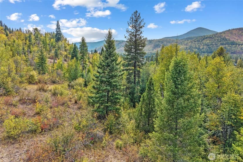 Property photo for 220 Catamount Ridge Lane, Ione photo 17