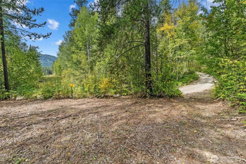 Property photo for 220 Catamount Ridge Lane, Ione photo 15