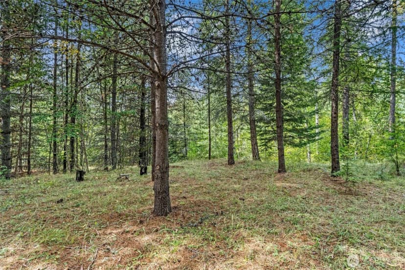Property photo for 220 Catamount Ridge Lane, Ione photo 20