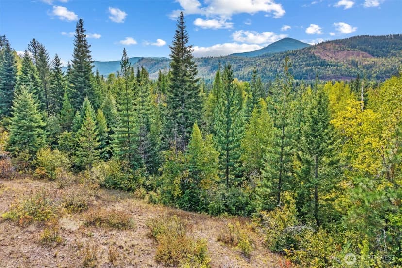 Property photo for 220 Catamount Ridge Lane, Ione photo 10