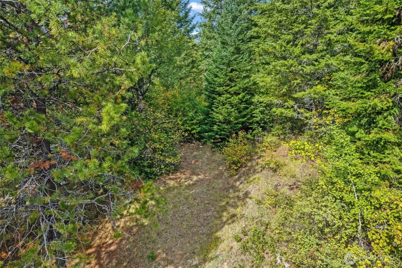 Property photo for 220 Catamount Ridge Lane, Ione photo 40