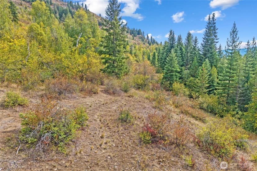 Property photo for 220 Catamount Ridge Lane, Ione photo 13