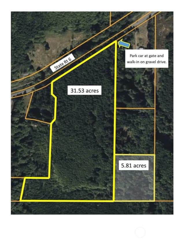 Property photo for 7920 State Rt 6, Pe Ell