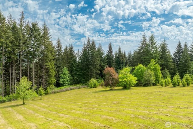 Property photo for 3900 Ne 425th Street, Woodland photo 3