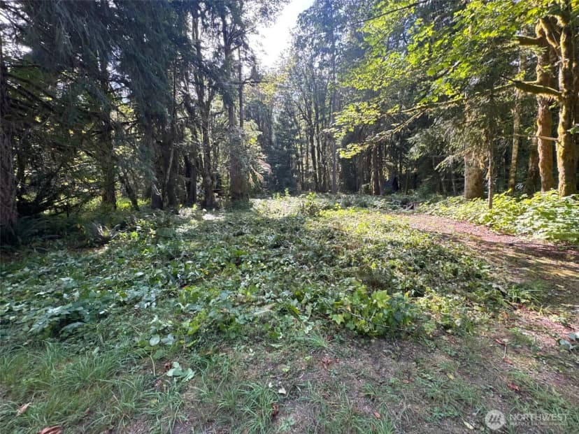 Property photo for 63645 Ne 190th Street, Baring