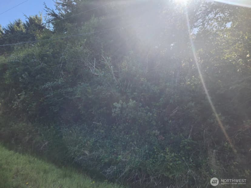 Property photo for 307 Centaurus Avenue Sw, Ocean Shores photo 2