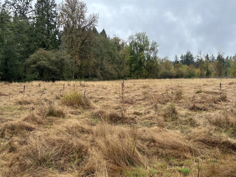 Property photo for 0 Byham Rd, Winlock photo 2
