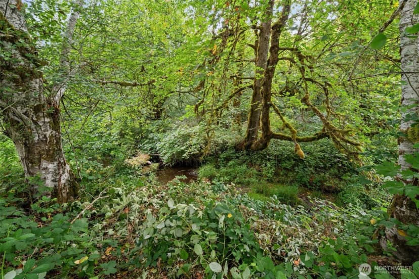 Property photo for 11199 W Belfair Valley Road, Bremerton photo 26