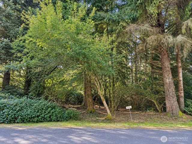 Property photo for 339 Redwood Court Se, Ocean Shores photo 3