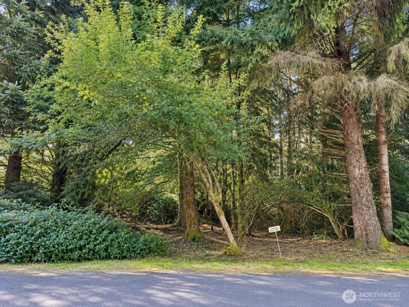 Property photo for 339 Redwood Court Se, Ocean Shores photo 3