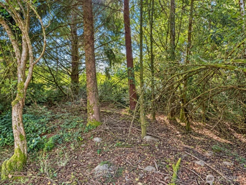 Property photo for 339 Redwood Court Se, Ocean Shores photo 2