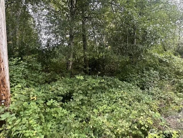 Property photo for 1115 123rd Avenue Se, Lake Stevens photo 3