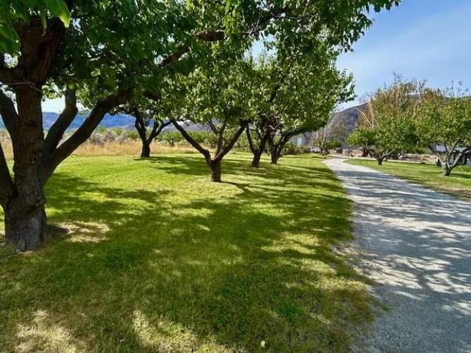 Property photo for 1893 Pine Creek Road, Tonasket photo 29