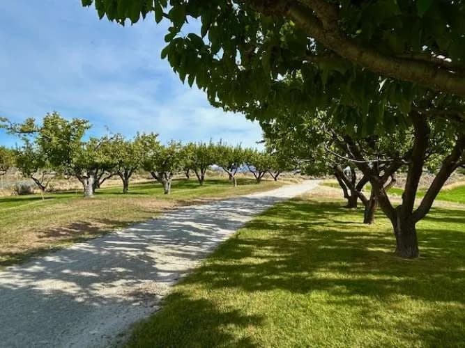 Property photo for 1893 Pine Creek Road, Tonasket photo 28