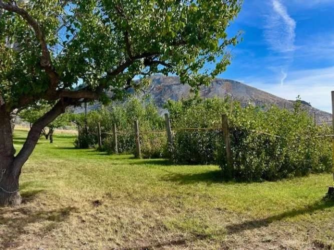 Property photo for 1893 Pine Creek Road, Tonasket photo 32