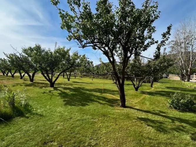 Property photo for 1893 Pine Creek Road, Tonasket photo 26