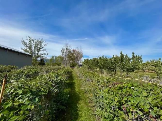 Property photo for 1893 Pine Creek Road, Tonasket photo 36