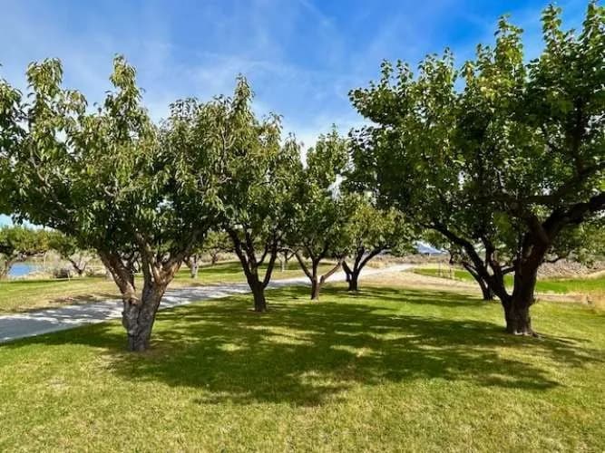 Property photo for 1893 Pine Creek Road, Tonasket photo 27