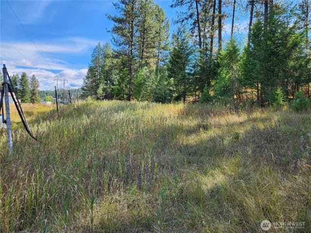 Property photo for 0 Tbd Pine Grove Street, Republic