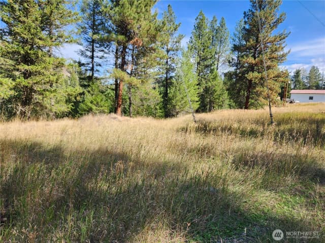 Property photo for 0 Tbd Pine Grove Street, Republic photo 3