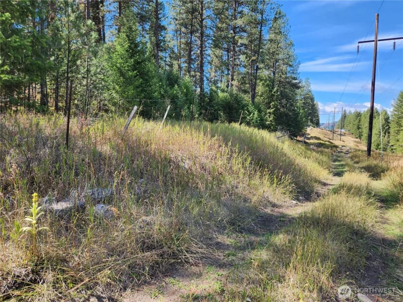 Property photo for 0 Tbd Pine Grove Street, Republic photo 6