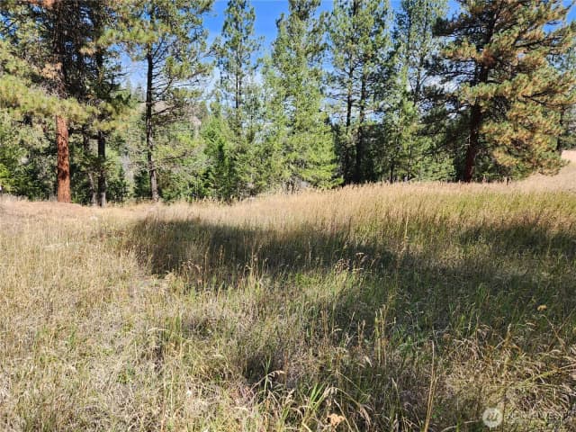 Property photo for 0 Tbd Pine Grove Street, Republic photo 5