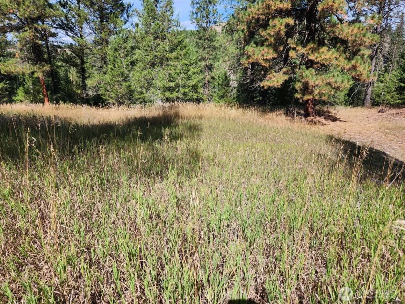 Property photo for 0 Tbd Pine Grove Street, Republic photo 8