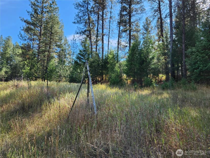 Property photo for 0 Tbd Pine Grove Street, Republic photo 2