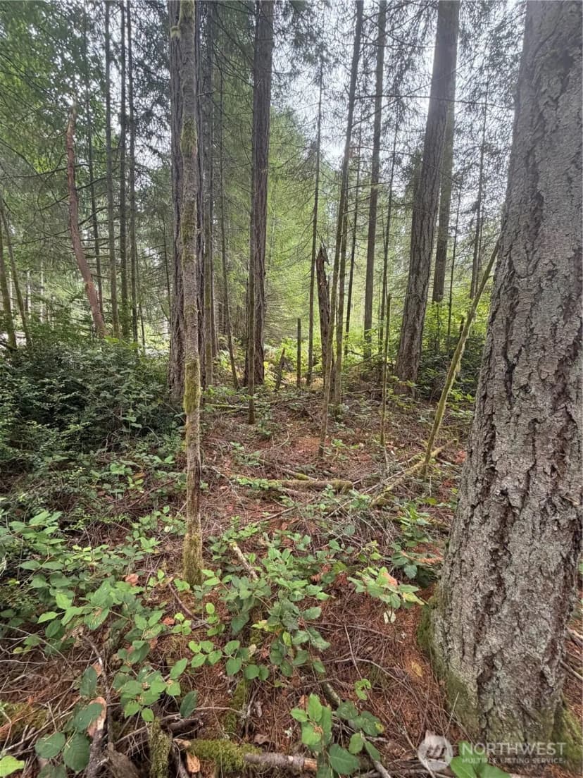 Property photo for 11928 Country Club Drive, Anderson Island photo 6