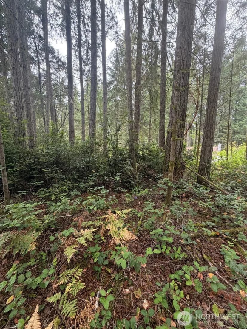Property photo for 11928 Country Club Drive, Anderson Island photo 7