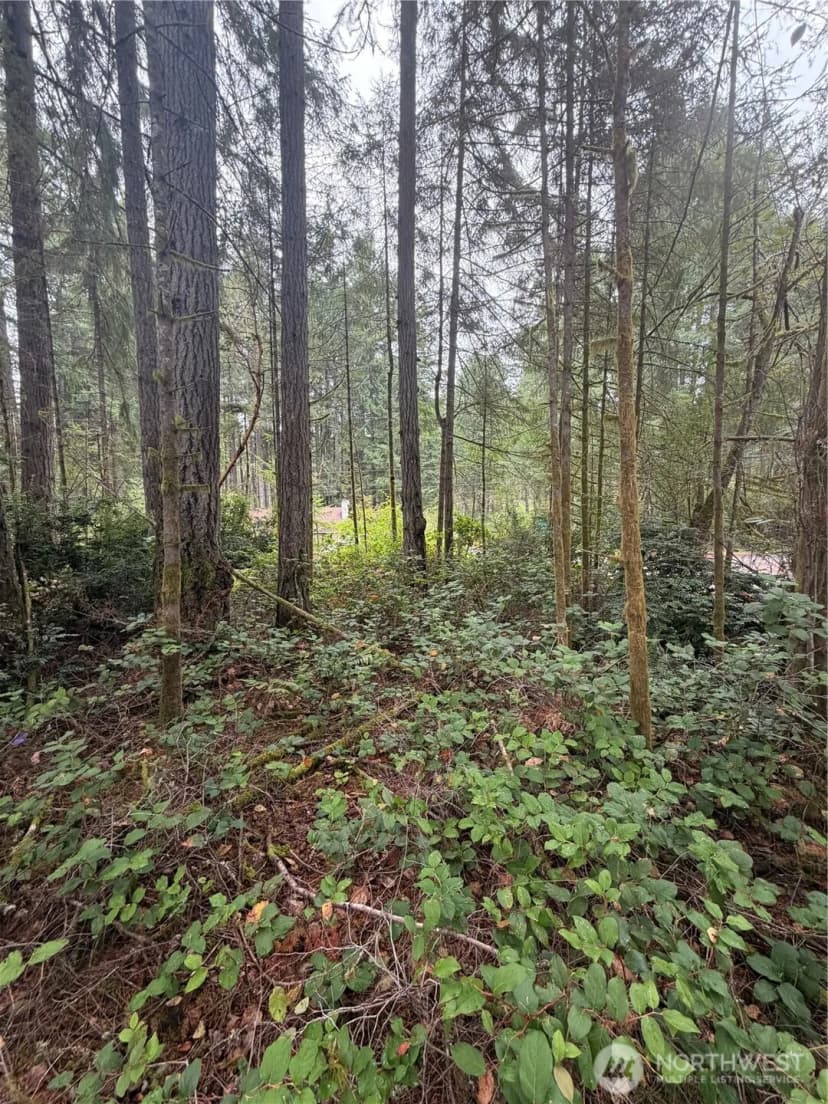 Property photo for 11928 Country Club Drive, Anderson Island photo 4