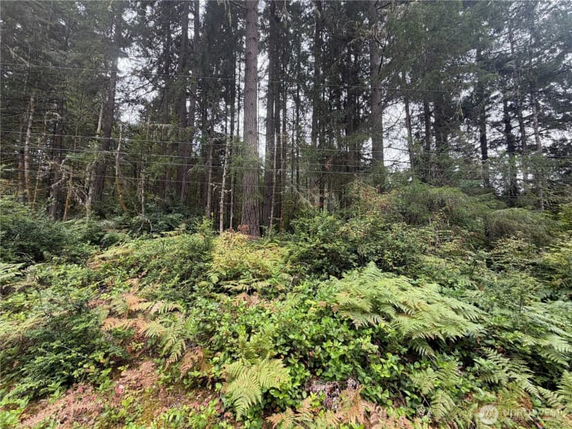 Property photo for 11928 Country Club Drive, Anderson Island photo 11