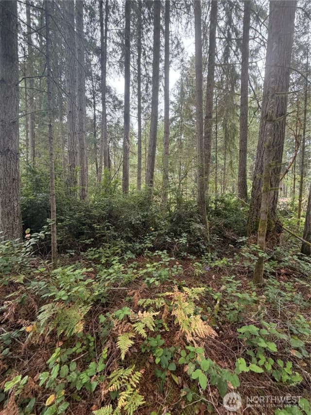 Property photo for 11928 Country Club Drive, Anderson Island photo 5