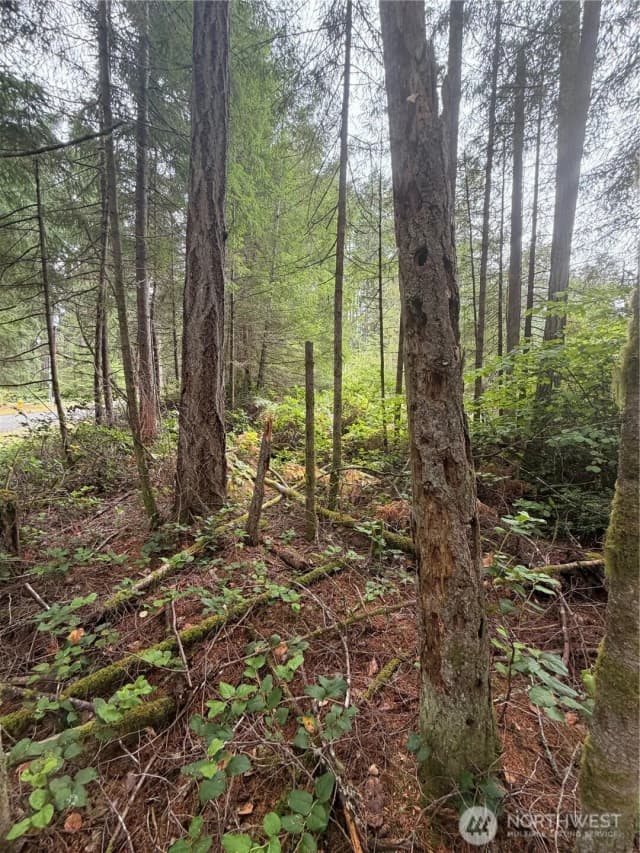 Property photo for 11928 Country Club Drive, Anderson Island photo 3