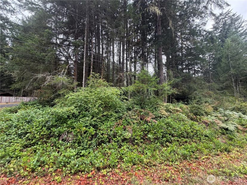 Property photo for 11928 Country Club Drive, Anderson Island photo 10