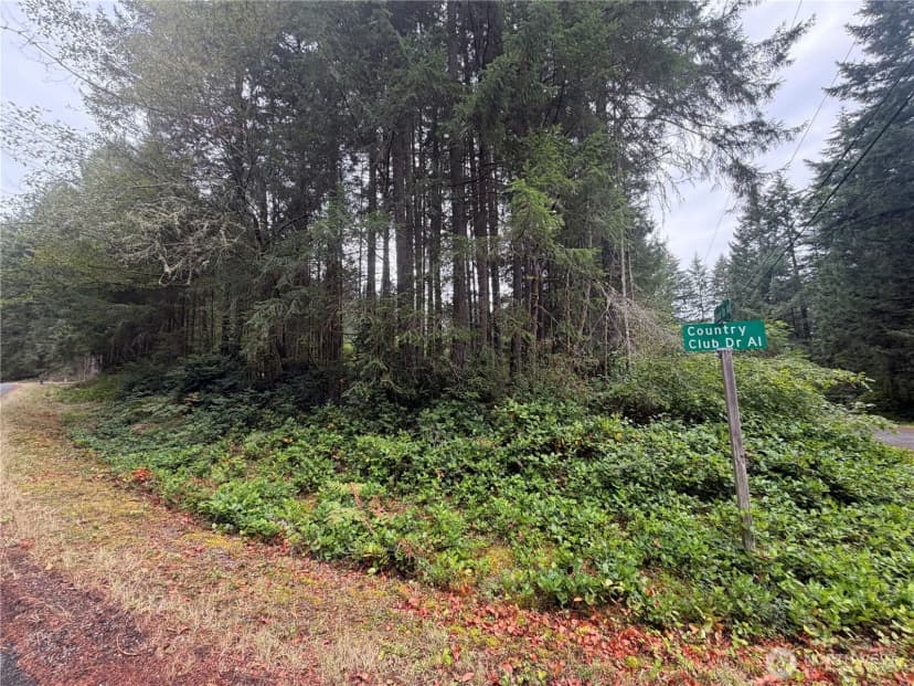 Property photo for 11928 Country Club Drive, Anderson Island photo 2