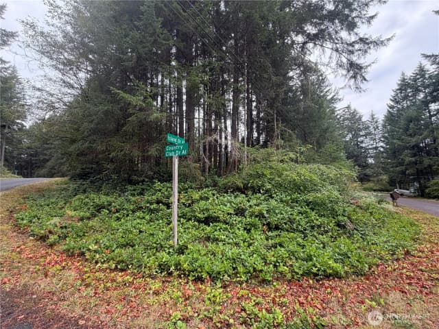 Property photo for 11928 Country Club Drive, Anderson Island