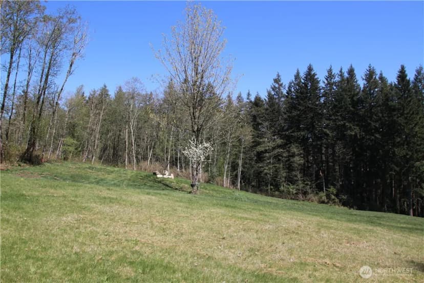 Property photo for 17635 Se Cougar Mountain Drive, Bellevue photo 11