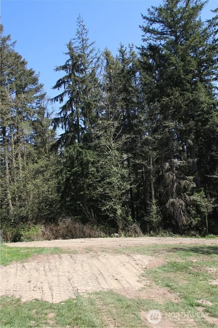 Property photo for 17635 Se Cougar Mountain Drive, Bellevue photo 13